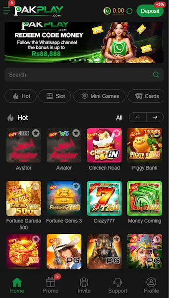 PakPlay Game