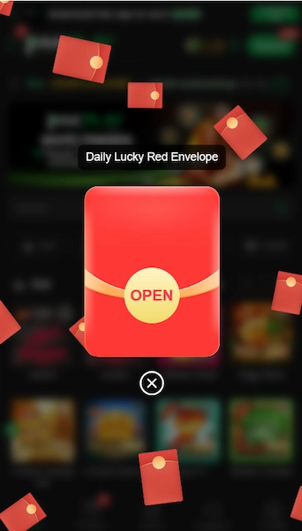PakPlay Game